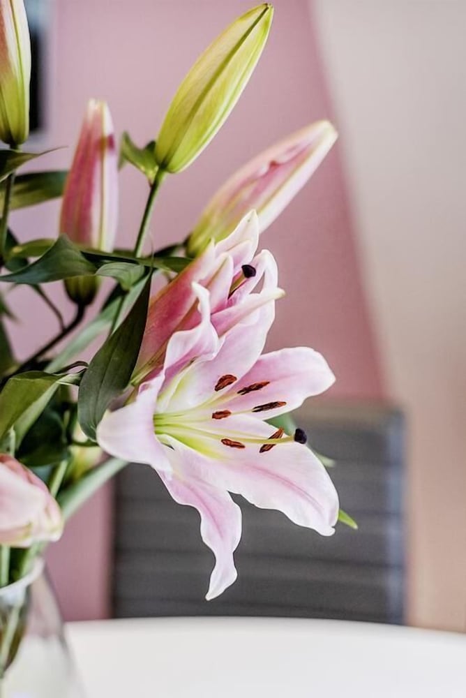 Фото Nassau Street