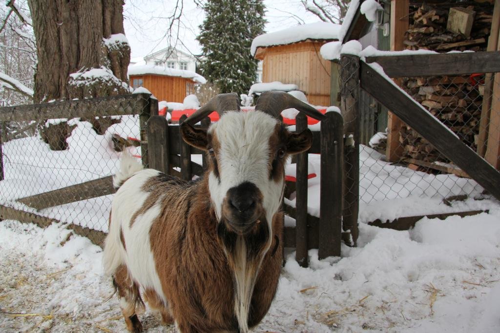 Фото Hotel zur Linde