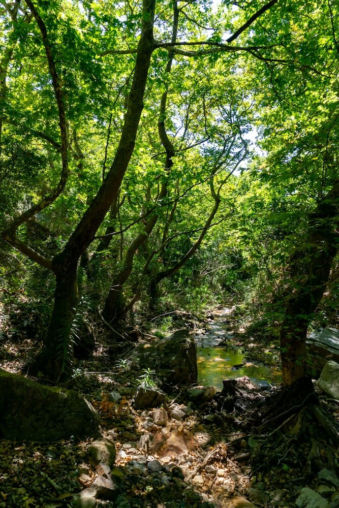 Фото Cottage Home at South Chania near Paliochora