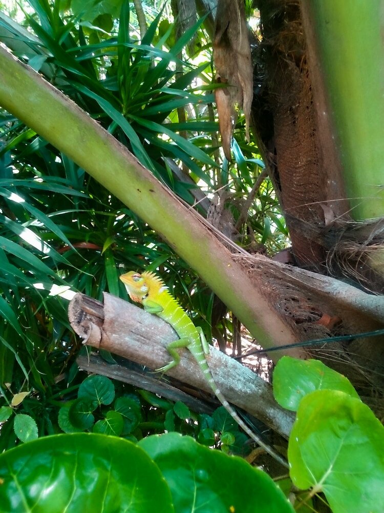 Фото Seashore Mirissa