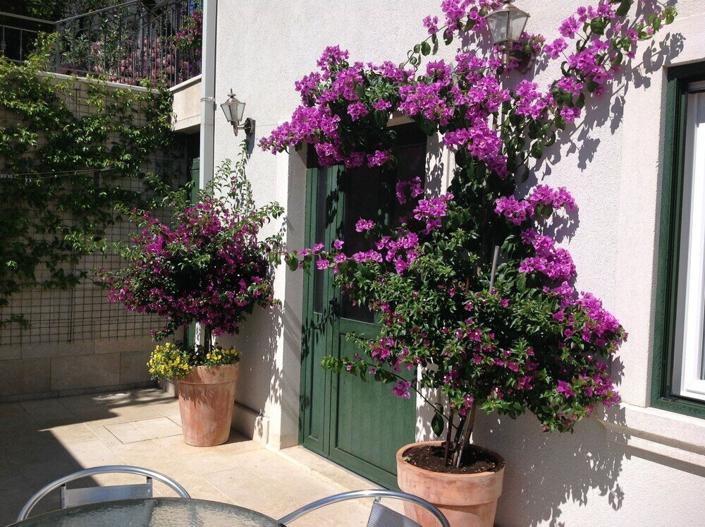 Фото Villa Brumnic Apartments