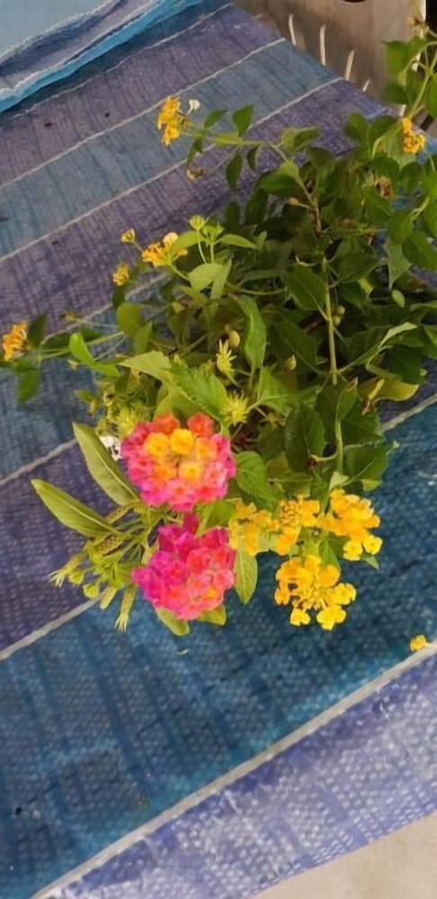 Фото Fuvahmulah Inn