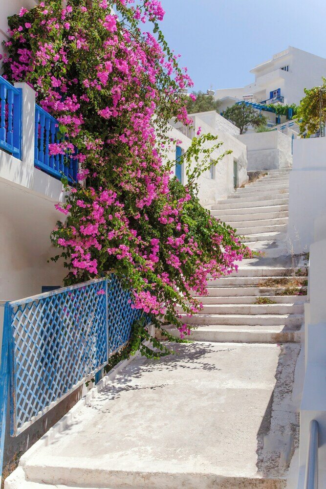 Фото Andromeda Residences