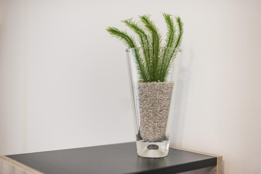 Фото Athens Bright Suite by Cloudkeys