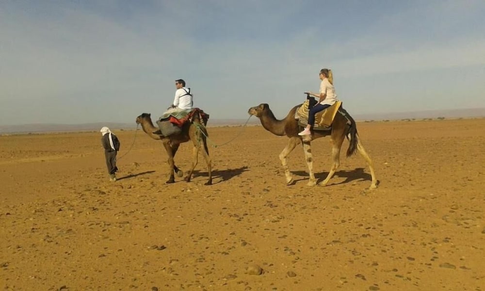 Фото La Dune Blanche