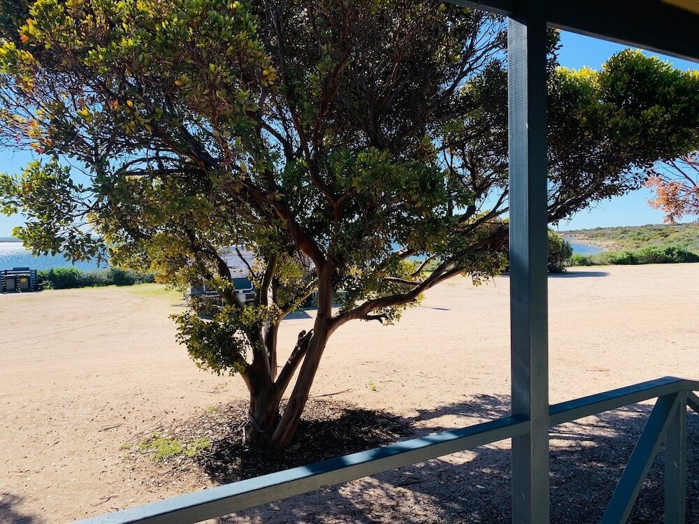 Фото Venus Bay Beachfront Tourist Park