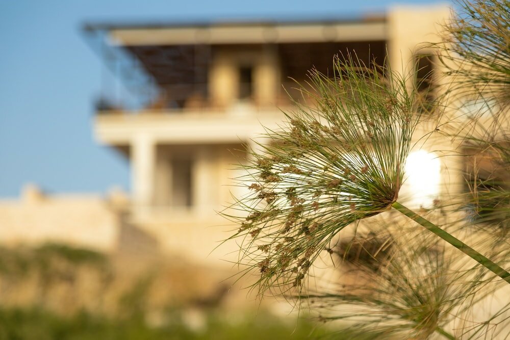 Фото Wadi Sabarah Lodge
