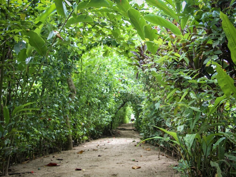 Фото Secluded Beach Hotel