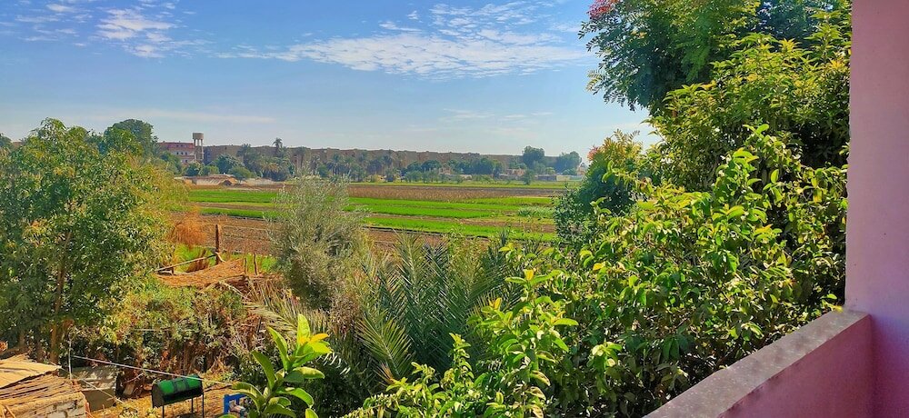 Фото Little Pharaoh