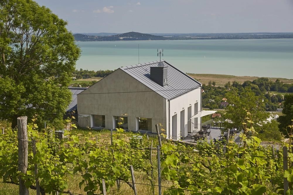 Фото Villa Patzay Borhotel