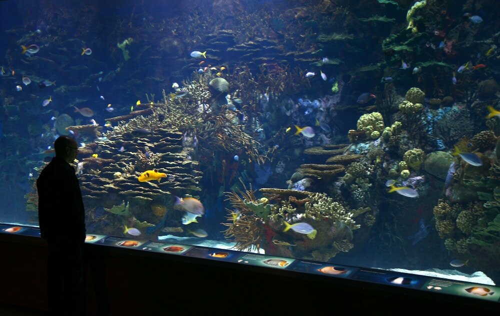 Фото Checkin Valencia Ciscar