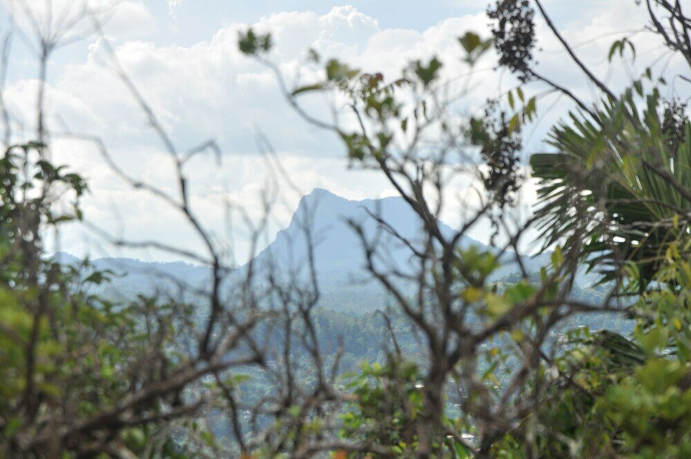 Фото Springhill Homestay