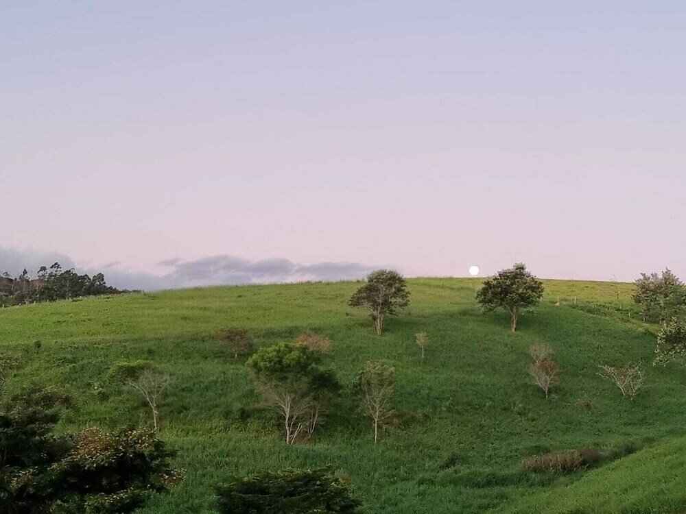 Фото Pousada Haras Fazenda Jamaica