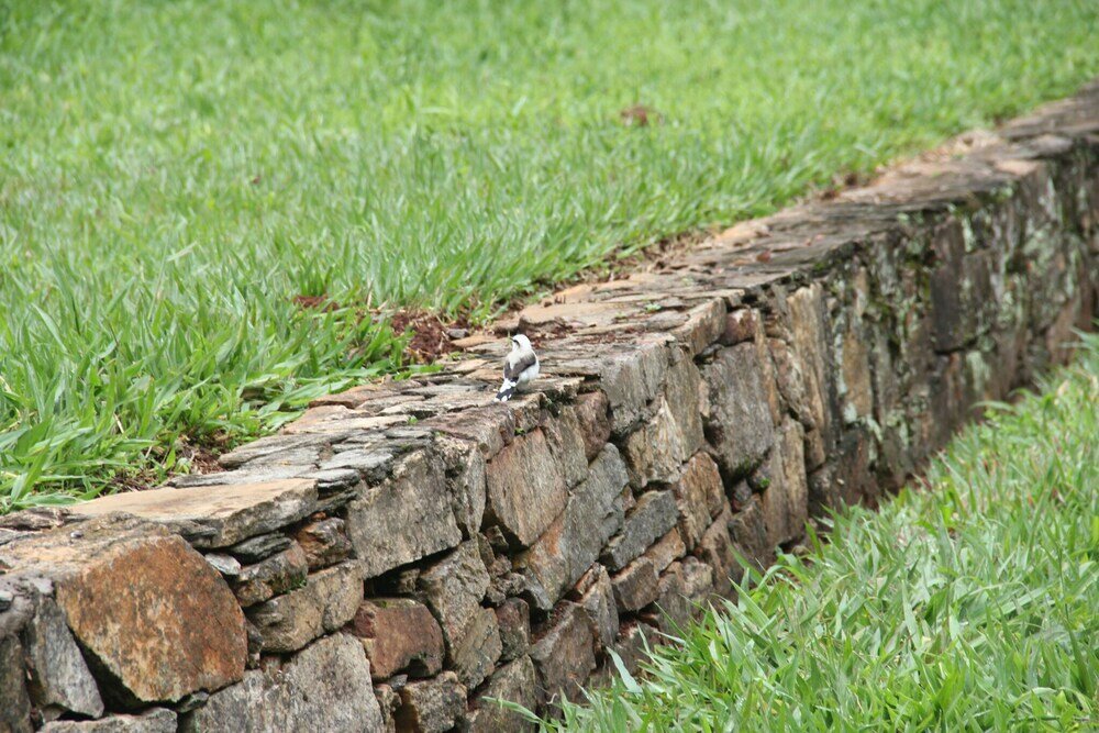 Фото Hotel Fazenda Vale Formoso