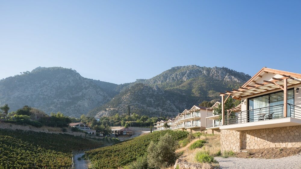 Фото Gillham Vineyard Hotel - Adults Only