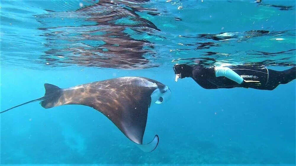 Фото Belvedere Thoddoo