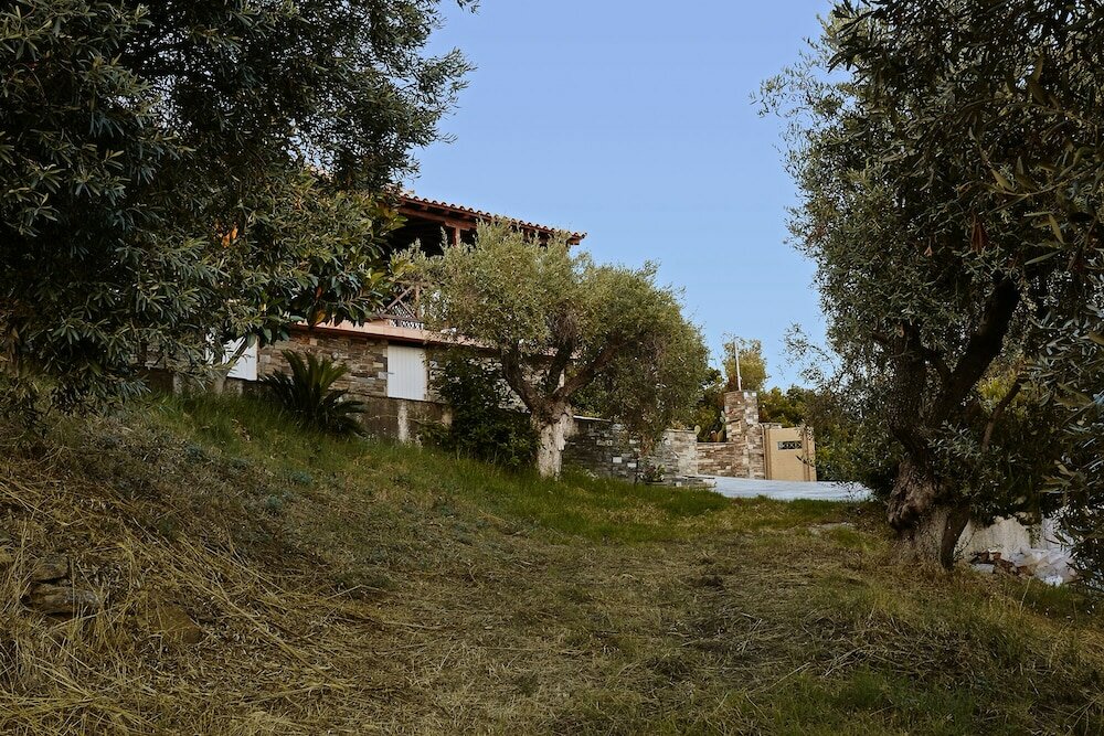 Фото Skiathos Ira Hotel