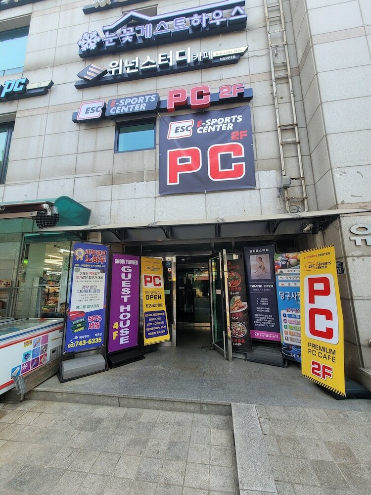 Фото Snowflower Guesthouse