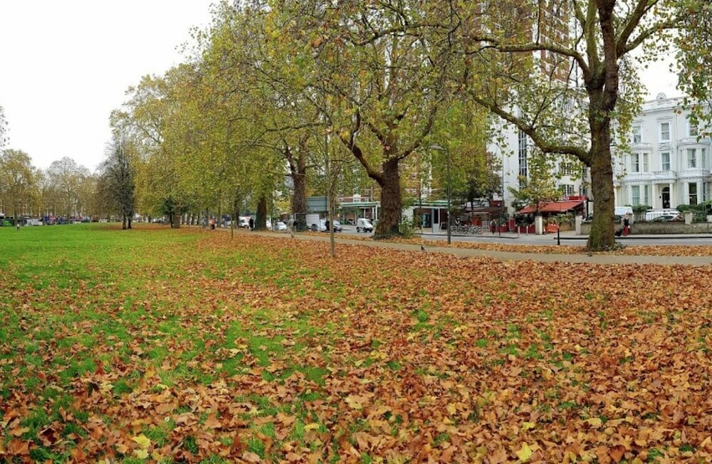 Фото Lovely Designer 1 Bedroom Shepherd's Bush 7 min to Tube