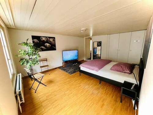 Гостиница Newly Furnished Beautiful old Building Apartment in the Center With Apple TV O1 в Санкт-Галлене