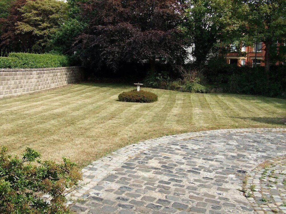 Фото Roseview B & B