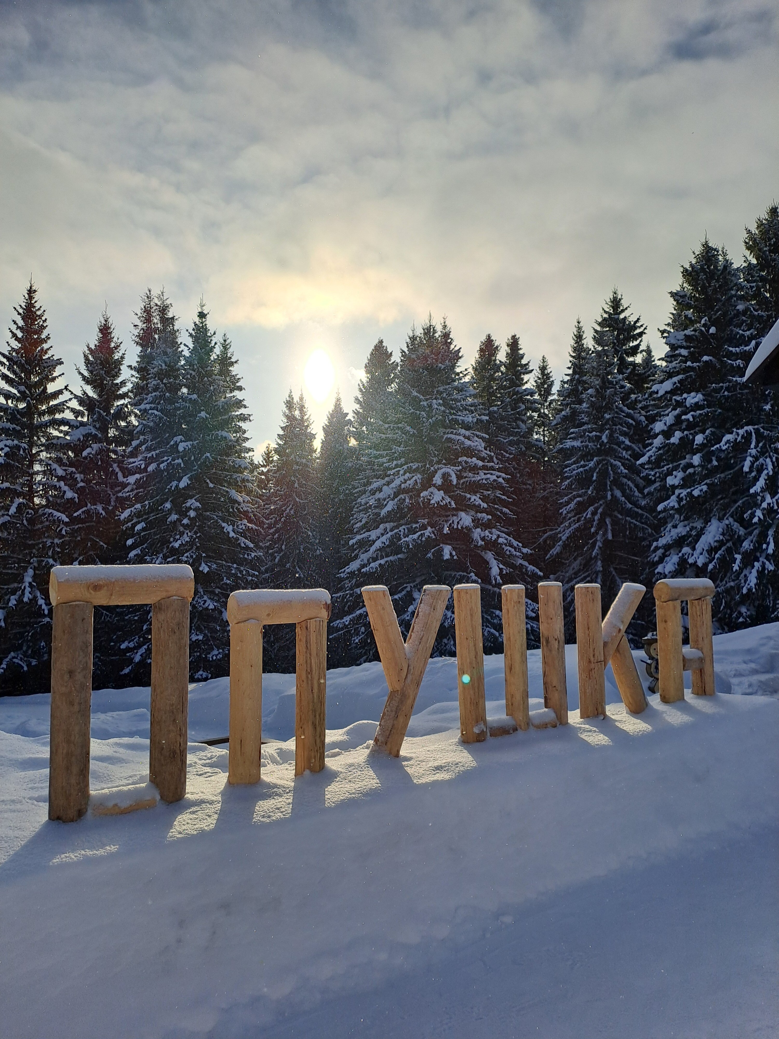 Фото Опушка