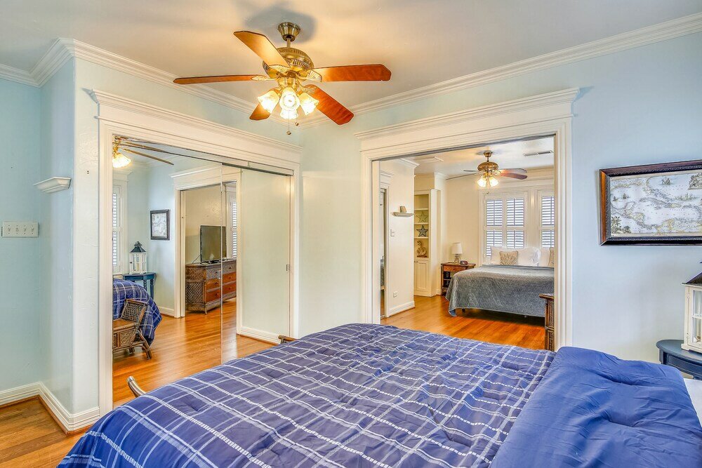 Фото The Turquoise Turtle