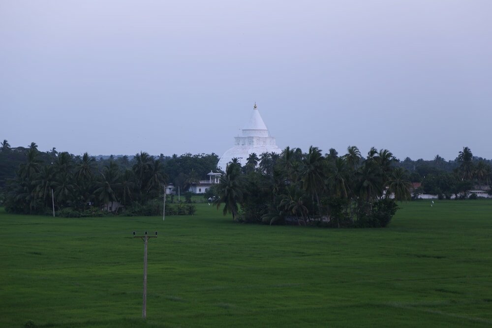 Фото Serene Park Hotel