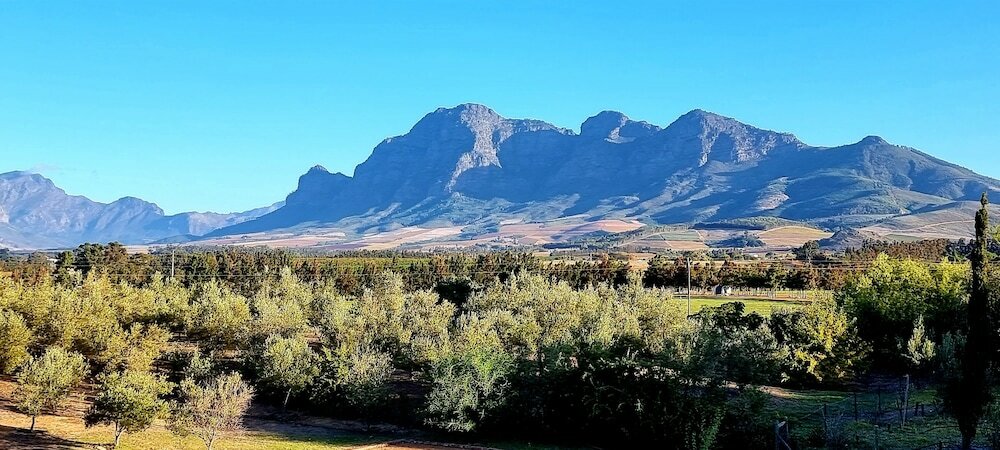 Фото Sandmartins