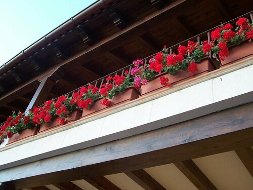 Гостиница Hotel Milagros Rio Riaza