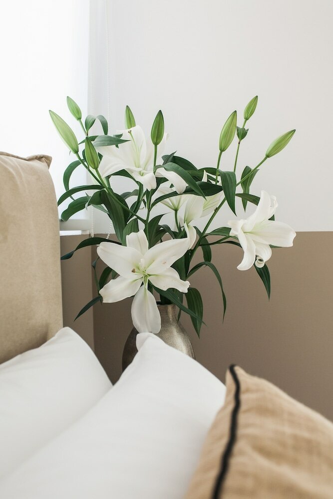 Фото Nephiria's Boho House with Acropolis View