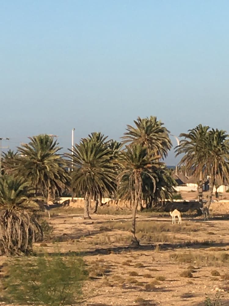 Фото Tamalou Djerba