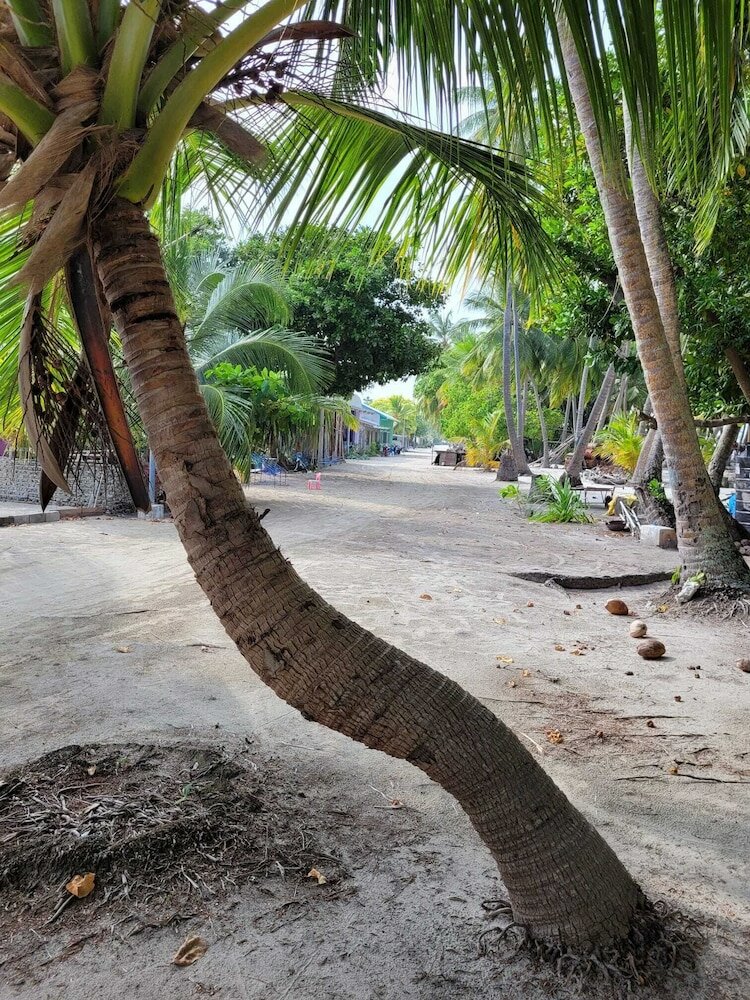 Фото Fehi Velaa Stay