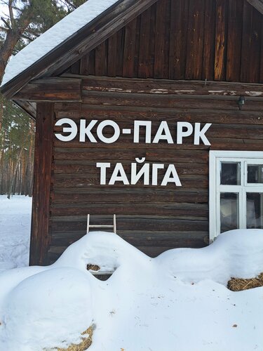 Тайга — фото 3