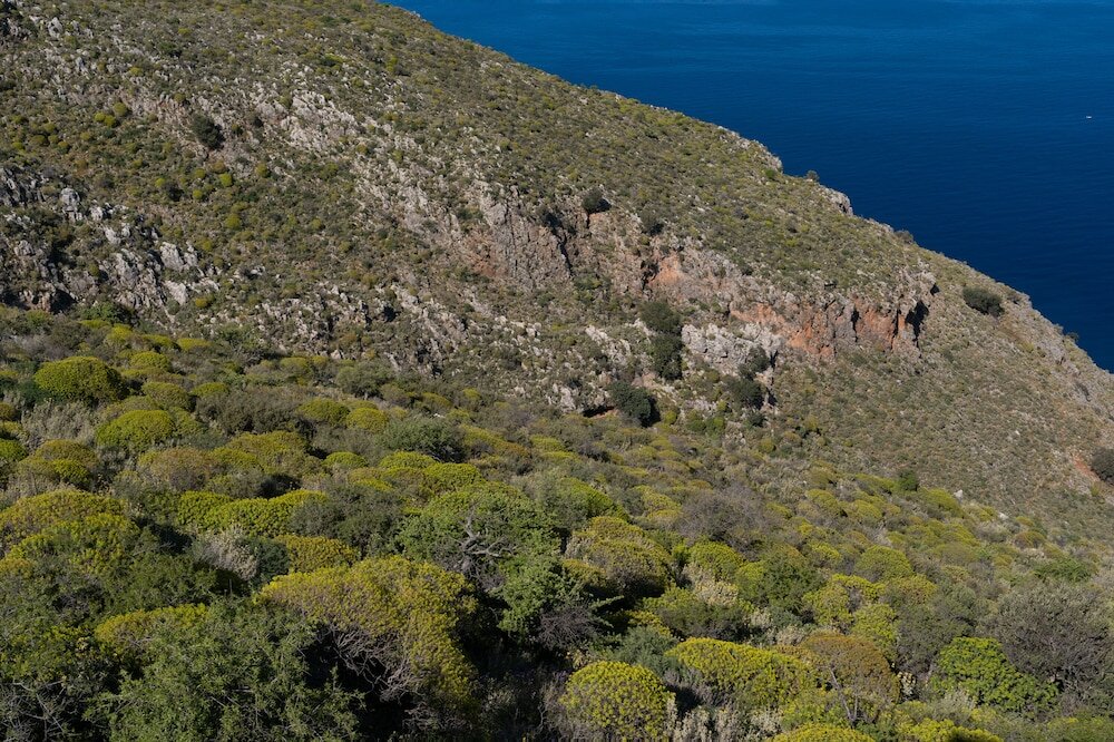 Фото Galani Vacation House