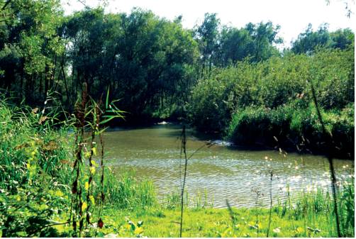 Фото Fletcher Hotel Restaurant Prinsen