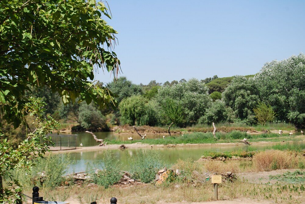 Фото Vivienda Rural el Retorno