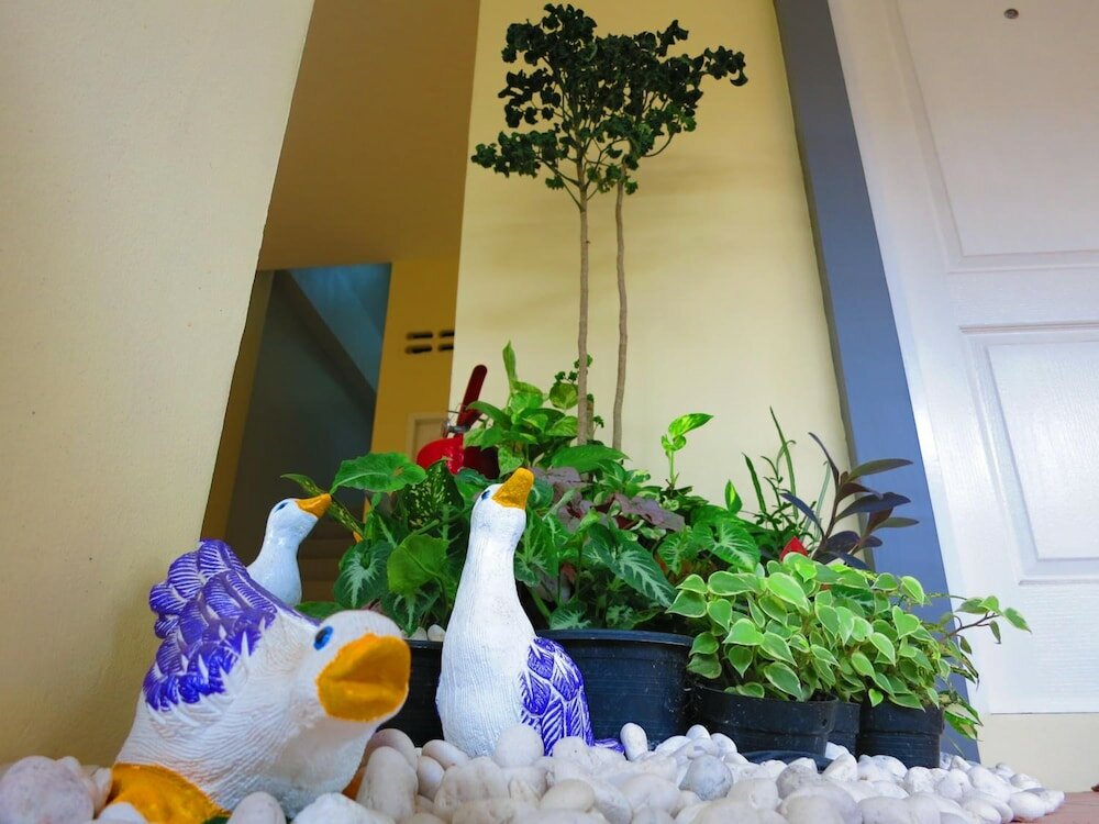 Фото Winrisa Place