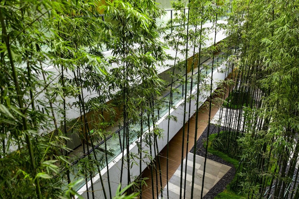 Фото Melia Chongqing