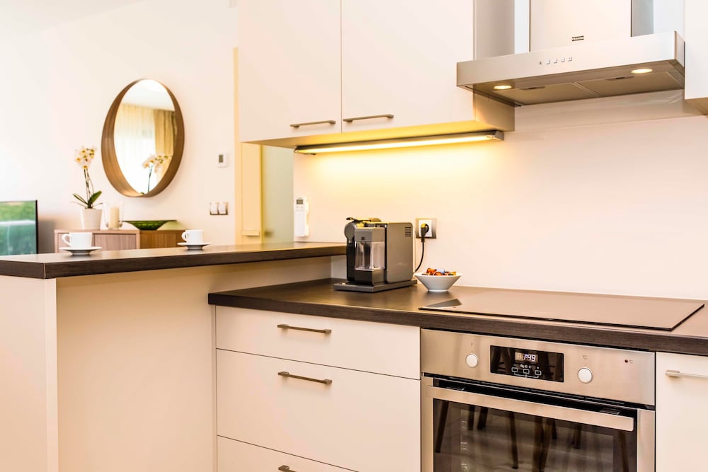 Фото Апартаменты Residence Park Nikolajka