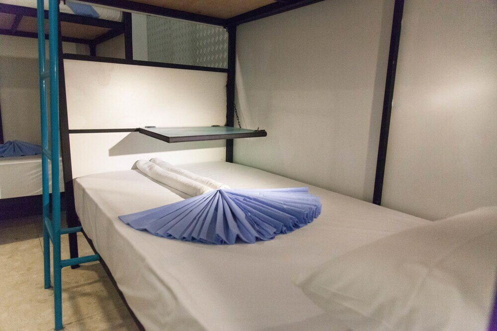 Фото Bunky Monkey - Hostel