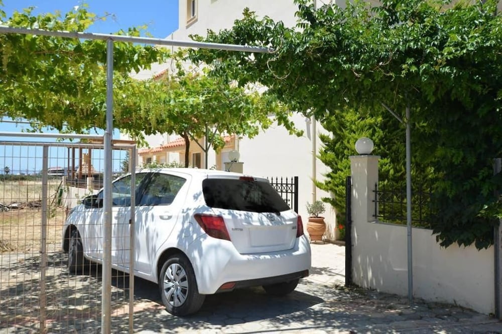 Фото Olive Oil Residence