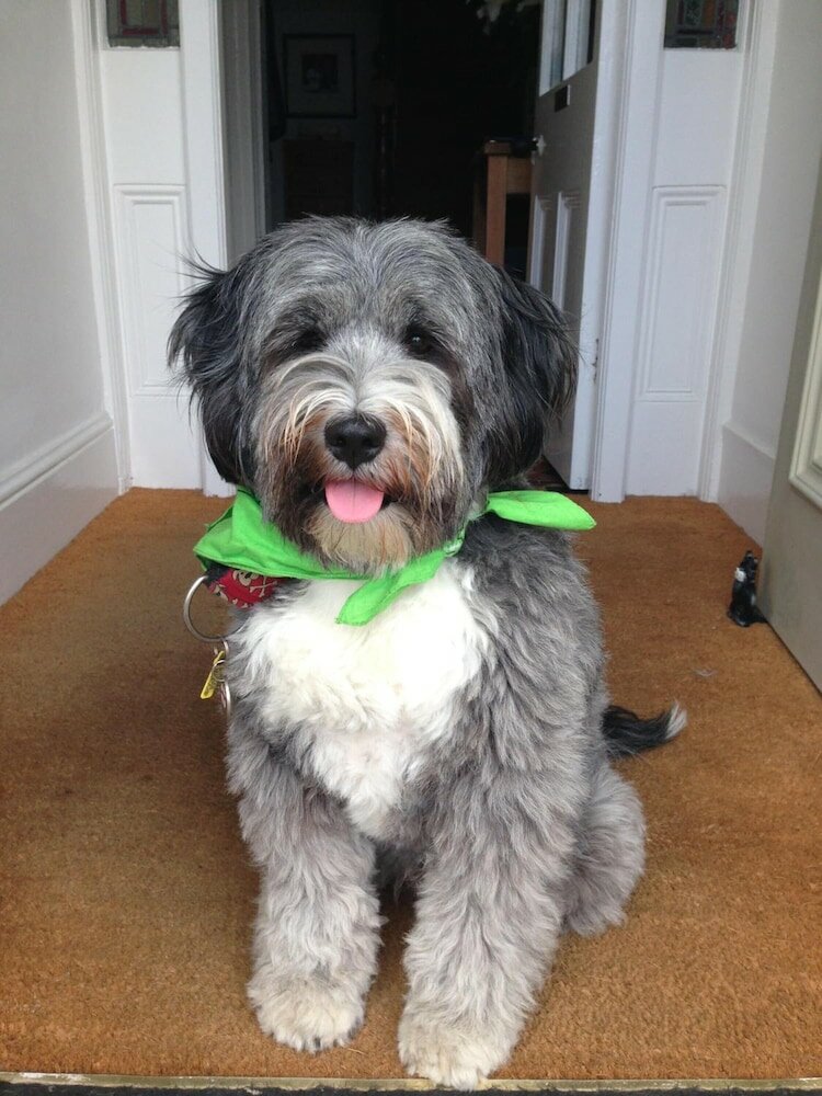 Фото The Olive Branch