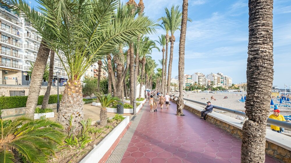 Фото Apartamentos La Rosita Old Town