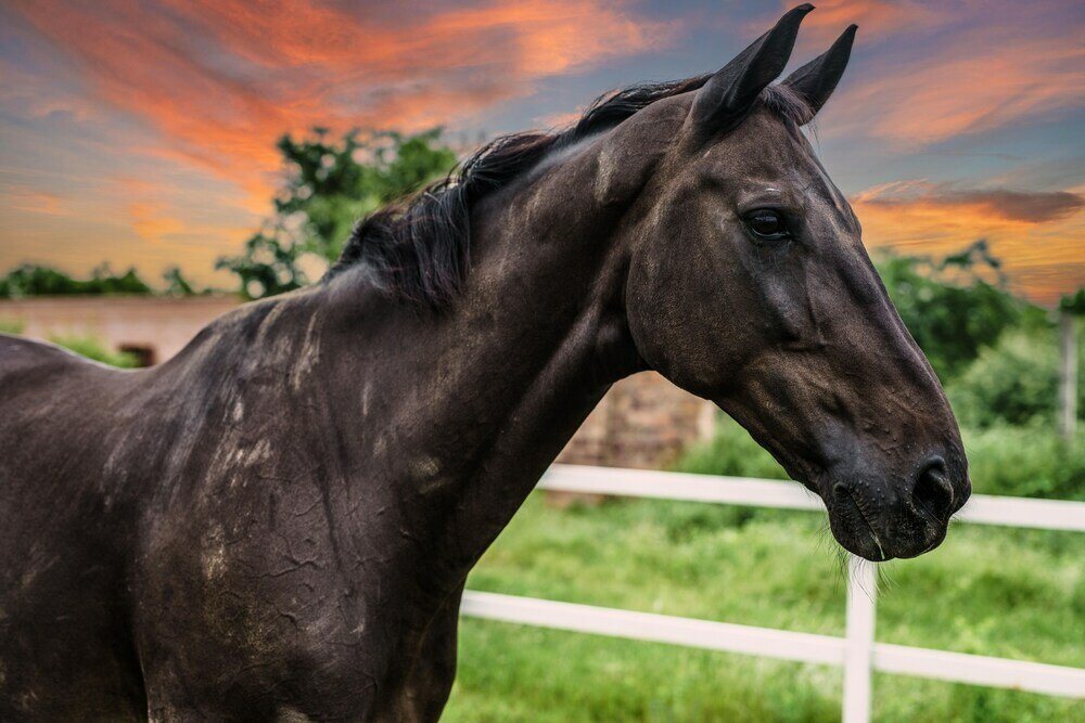 Фото Amã Stays & Trails Abhay Villa, Bisalpur
