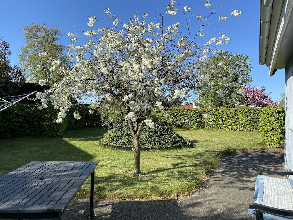 Фото Sommerhus i Risskov