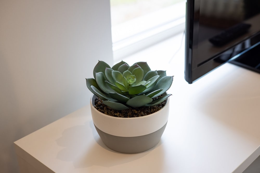 Фото The Acton Flats