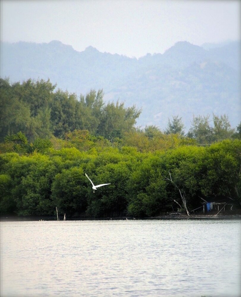 Фото Seri Resort Gili Meno