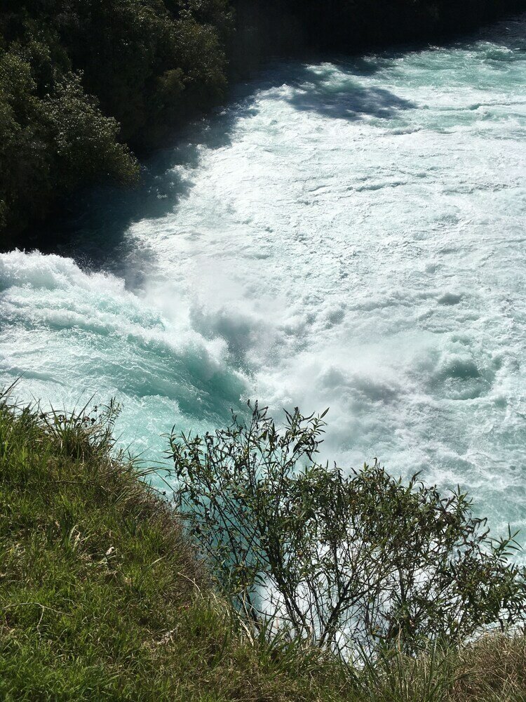 Фото Orchard View FarmStay Retreat