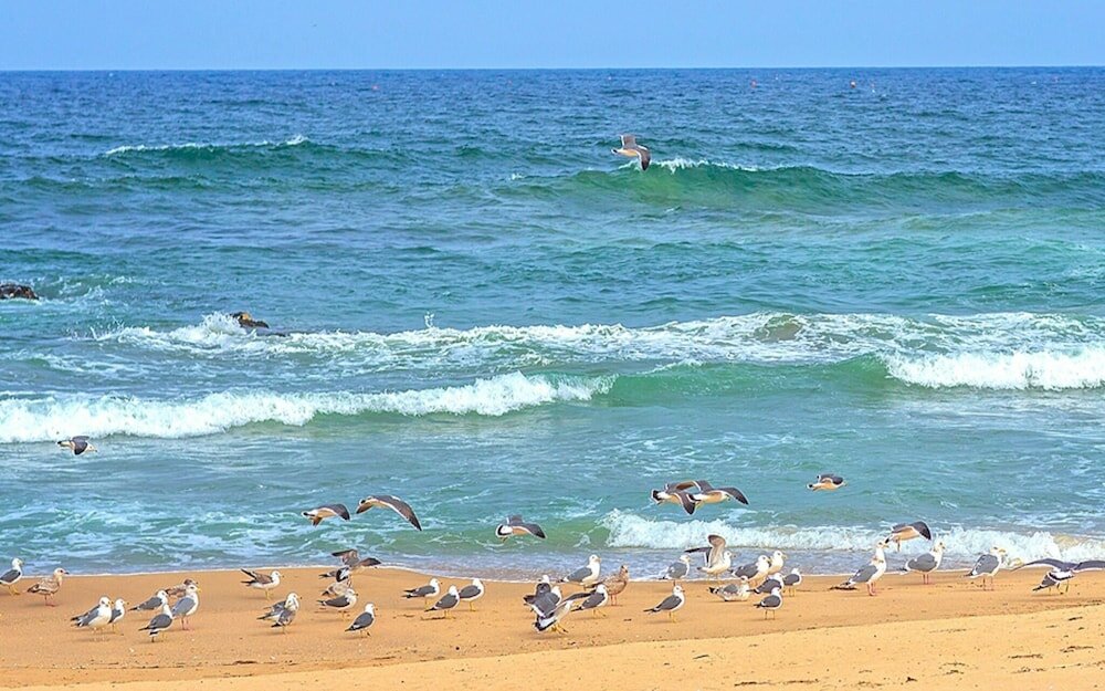 Фото Yeosu Rest Guest House